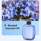 🎁Gift Idea Hot Sale 50% OFF🌸Automatic Fragrance Spray for Home