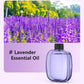 🎁Gift Idea Hot Sale 50% OFF🌸Automatic Fragrance Spray for Home